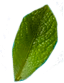 Leaf 1